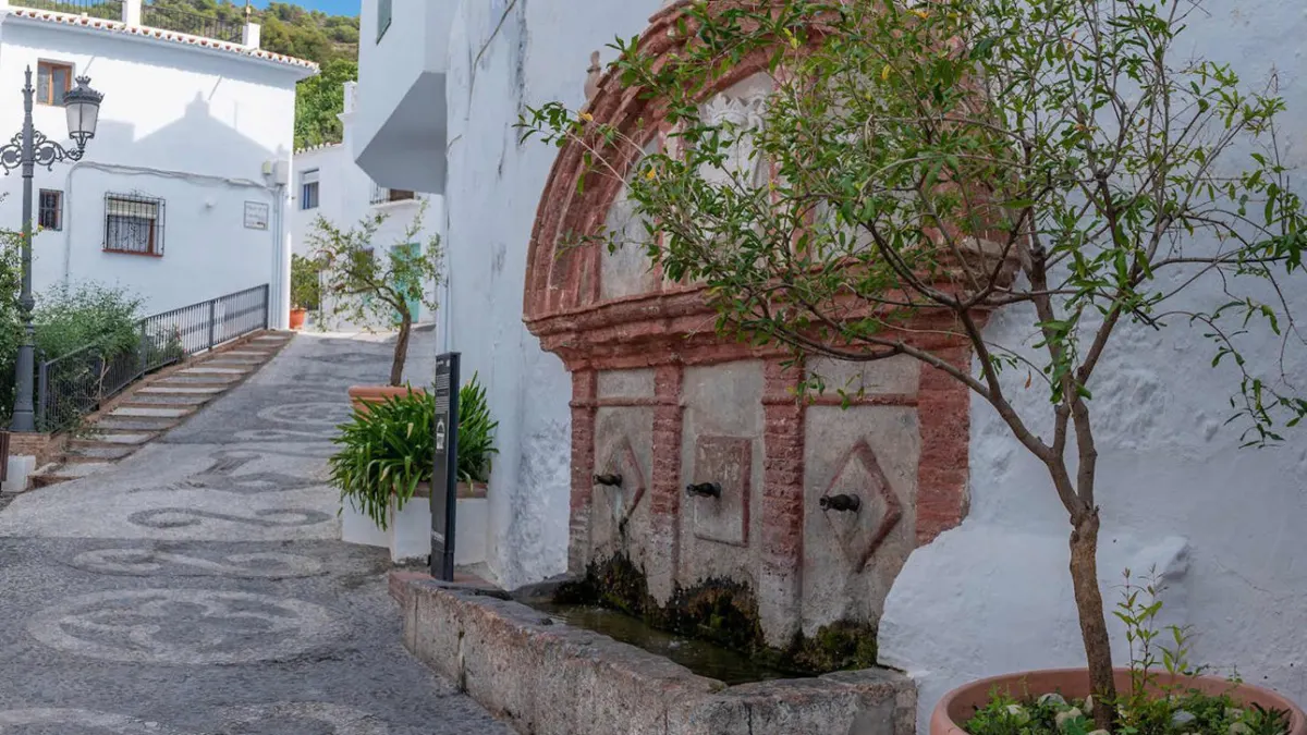 Frigiliana premiará con ayudas a sus deportistas destacados