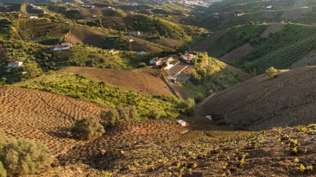 Sequía, importaciones, elevados costes y burocracia, reivindicaciones de los agricultores de Málaga