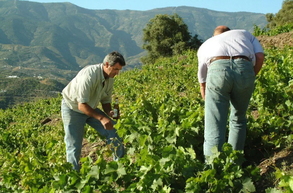 El campo malagueño se movilizará los próximos 7 y 13 de marzo