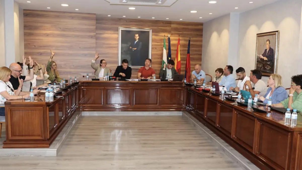 Pleno Ayuntamiento de Torrox