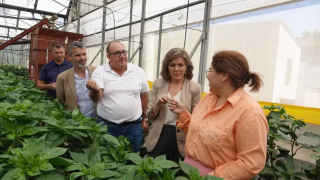 El PSOE destaca que siempre estará con los agricultores de la Axarquía "frente a la inacción de Moreno Bonilla”