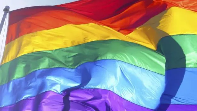Día Internacional del Orgullo LGTBI+: De los disturbios de Stonewall a las marchas actuales