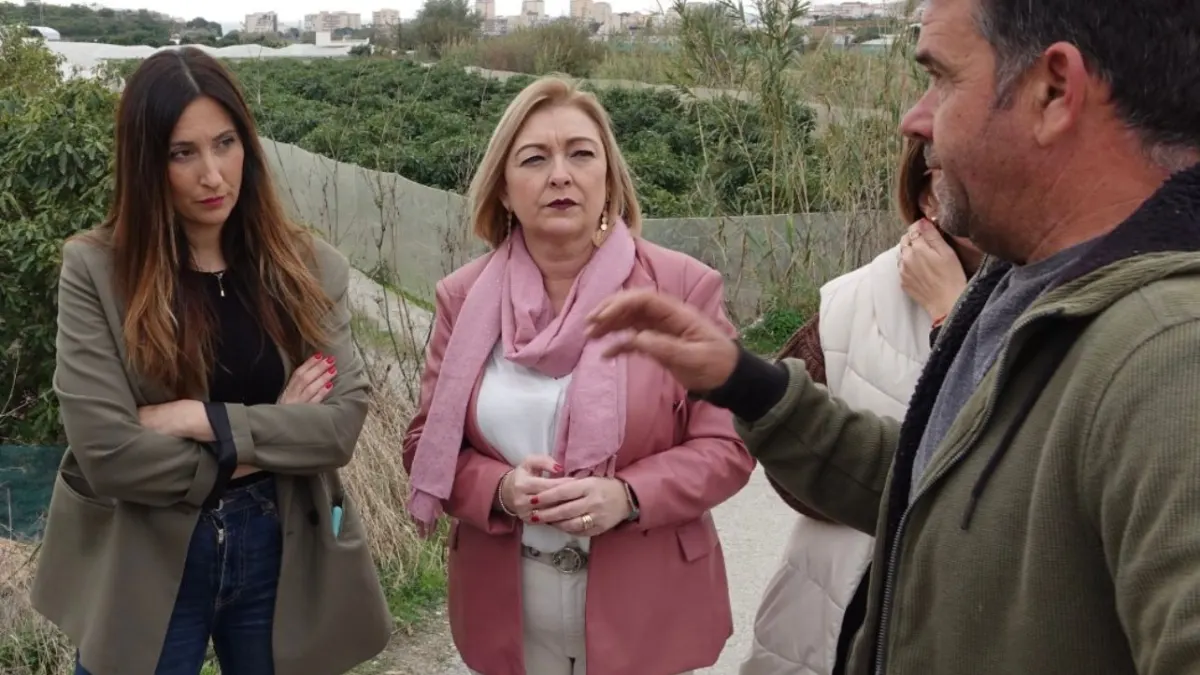 PSOE TORROX