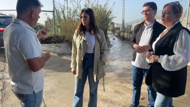 PSOE Torrox caminos rurales dañados y limpieza ríos