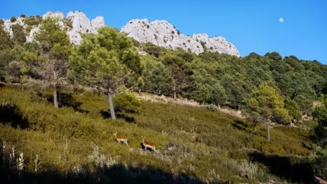 El lado menos conocido de Frigiliana: Sus grandes recursos para el turismo de naturaleza