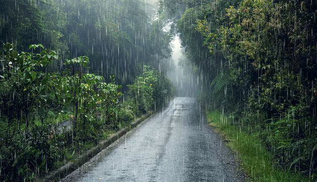 LLUVIA