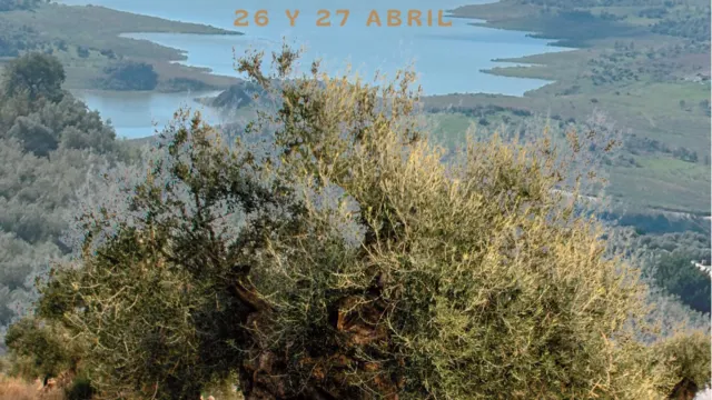 Periana despedirá el mes de abril con la XXIV edición del Día del Aceite Verdial, un homenaje a la tradición olivarera de sus habitantes