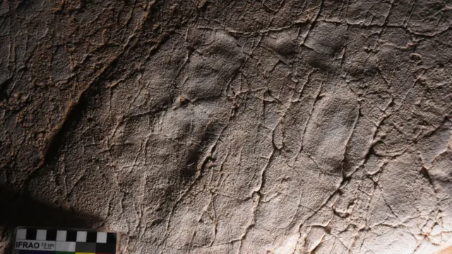 La Cueva del Tesoro de Rincón de la Victoria cuenta con las huellas humanas más antiguas del Mediterráneo