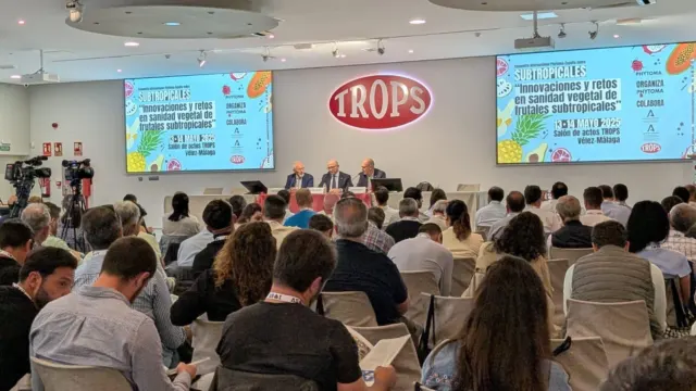 La producción de cultivos tropicales de la Axarquía es considerada «el epicentro andaluz y español de este tipo de cultivos»