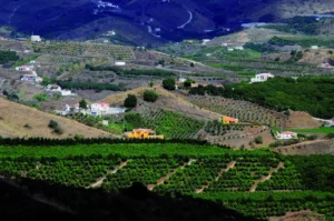 Iznate: un fin de semana entre viñas, fuentes y panorámicas de la Axarquía