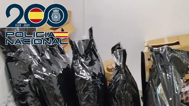 Golpe policial al narcotráfico en Vélez-Málaga: recuperan siete VPO convertidas en invernaderos de marihuana