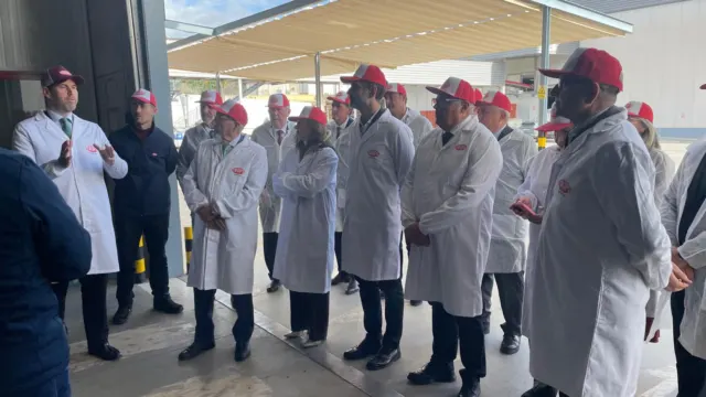 Las exportaciones de aguacate y mango de enero a septiembre en Málaga ya superan a las de todo 2024