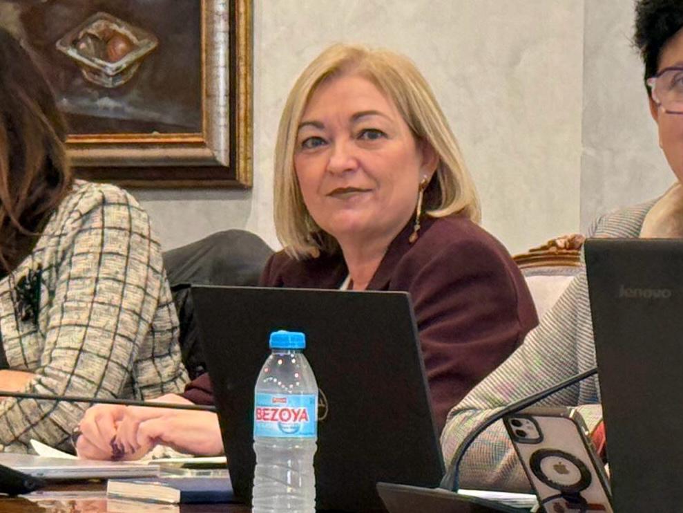 Noticias de la Comarca de Axarquía