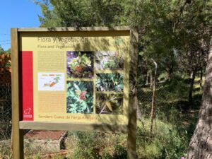 La Cueva de Nerja no solo se descubre bajo tierra, también se camina por encima de ella