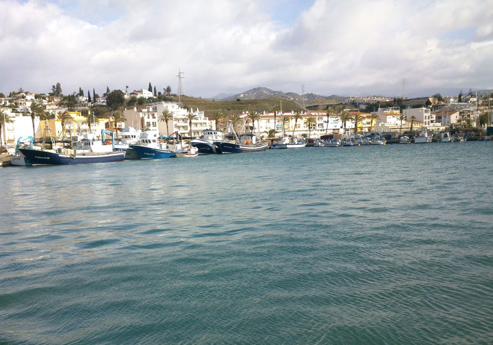 Noticias de la Comarca de Axarquía