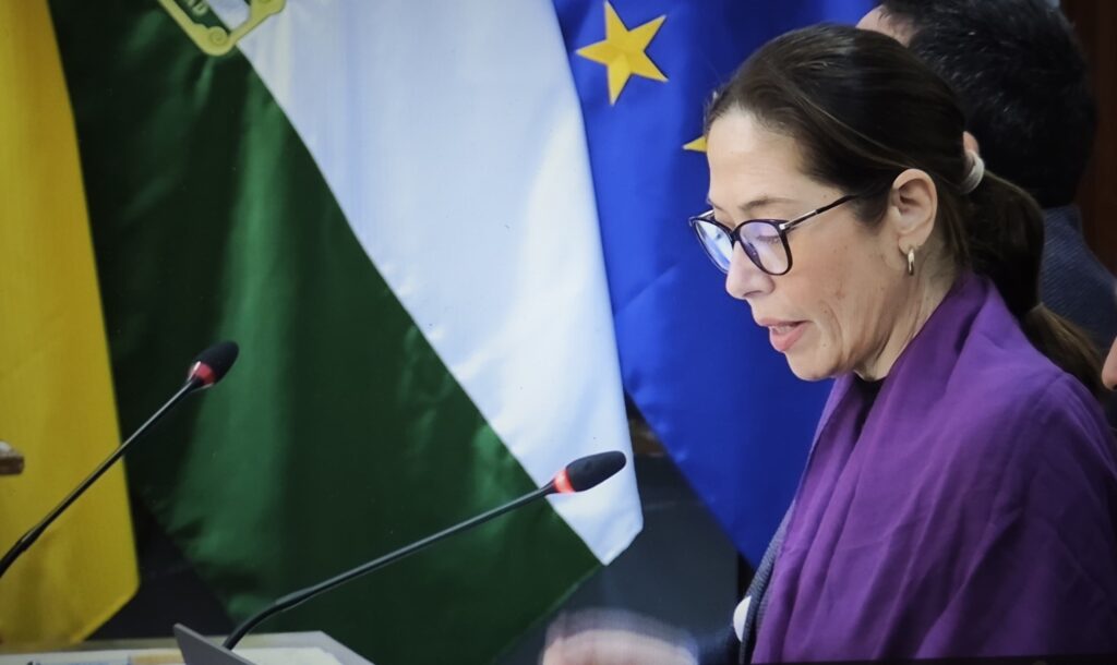 Noticias de la Comarca de Axarquía 4 Noticias de la Comarca de Axarquía