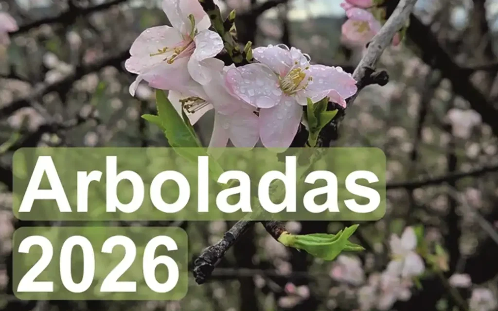 Noticias de la Comarca de Axarquía