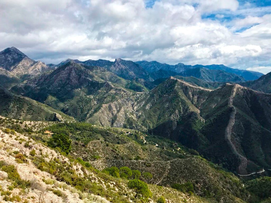 Noticias de la Comarca de Axarquía