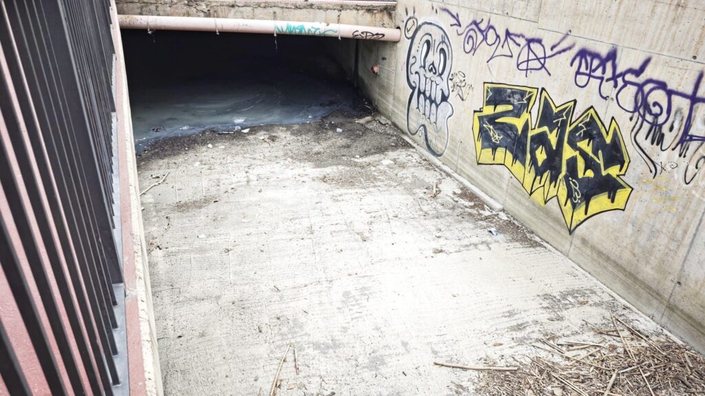 Noticias de la Comarca de Axarquía