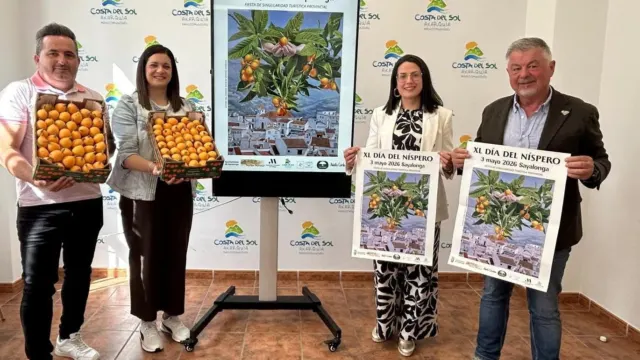 Sayalonga celebra este domingo la XL edición Día del Níspero con el reparto de 3.000 kilos de este fruto, mermeladas y vino moscatel