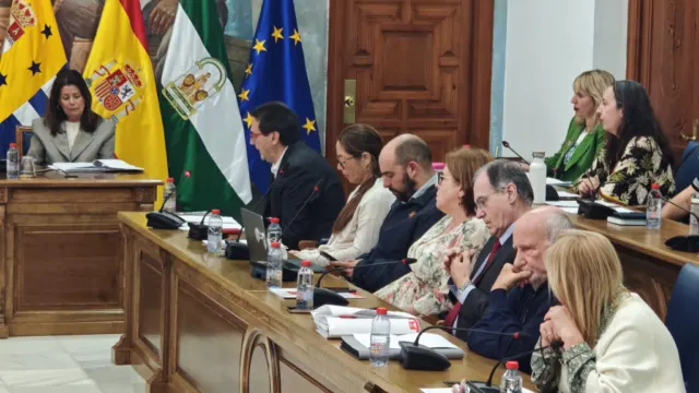 Alertan de graves deficiencias en el modelo de transporte público de Rincón de la Victoria que el PP pretende aprobar