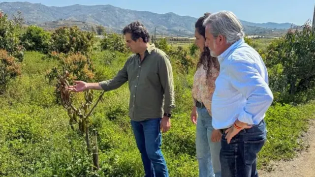 Vox denuncia en la Axarquía que los agricultores siguen sin agua de calidad pese al llenado de los embalses