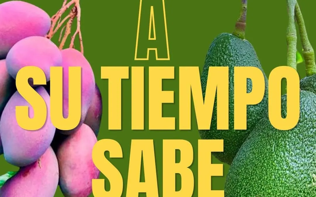 El Ayuntamiento de Vélez-Málaga lanza la campaña “A su tiempo sabe mejor” para proteger la calidad y el prestigio de los subtropicales de la Axarquía