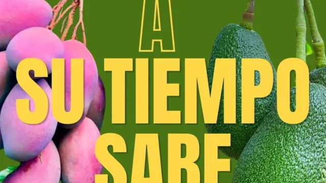 El Ayuntamiento de Vélez-Málaga lanza la campaña “A su tiempo sabe mejor” para proteger la calidad y el prestigio de los subtropicales de la Axarquía