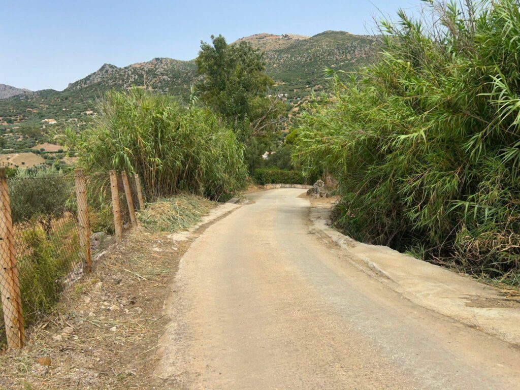 Noticias de la Comarca de Axarquía