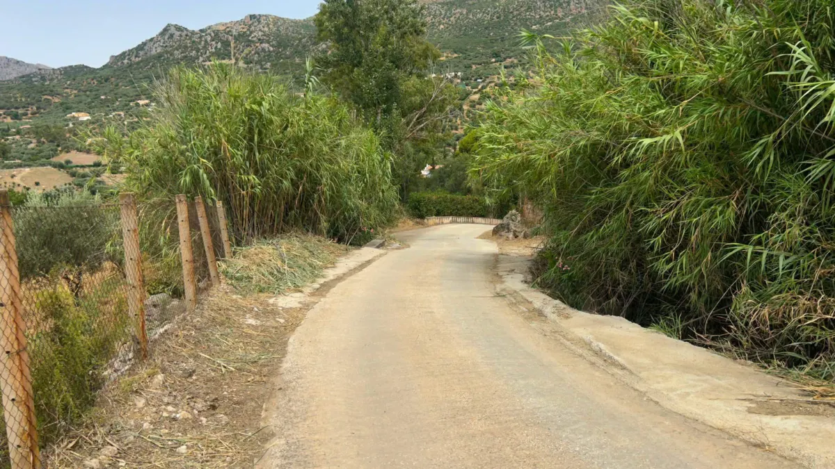 El Ayuntamiento de Periana continúa realizando trabajos de limpieza y desbroce para mejorar la seguridad y la accesibilidad de sus carriles