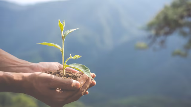 Almáchar acoge la jornada ambiental e intergeneracional ‘Juntos por un planeta saludable’ el 24 de septiembre