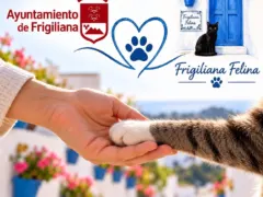 El Ayuntamiento de Frigiliana y la Asociación Frigiliana Felina se unen para implantar el método CER en las colonias del municipio