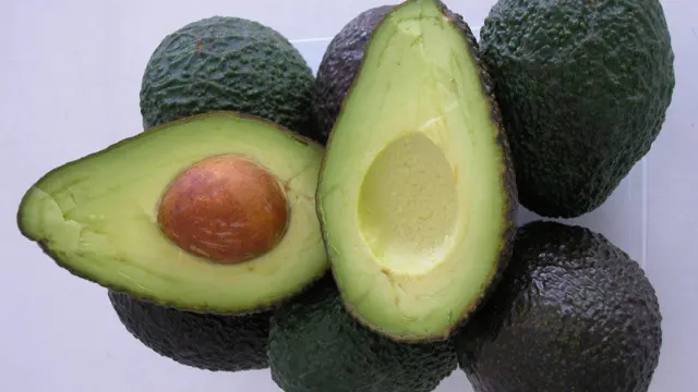 aguacate