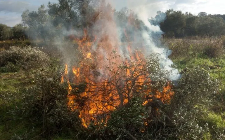 Nerja abre el plazo para solicitar la quema agrícola tras fijarse el periodo de peligro bajo de incendios forestales